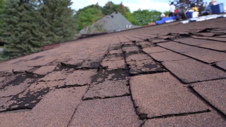  Tappan, NY Roofing Service Pros